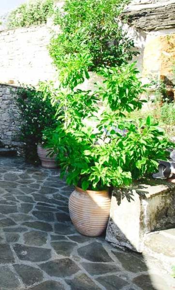 Alexadras Guesthouse Ampelochori Exterior photo