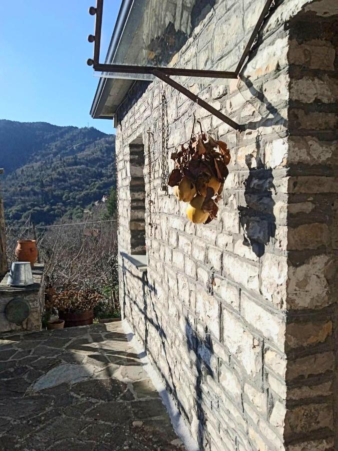 Alexadras Guesthouse Ampelochori Exterior photo